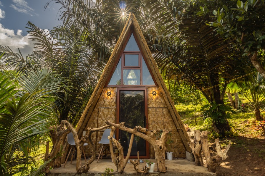 A-frame tropical vacation rental cabin with bamboo exterior, glass door, and rustic driftwood patio surrounded by lush palm trees and jungle greenery