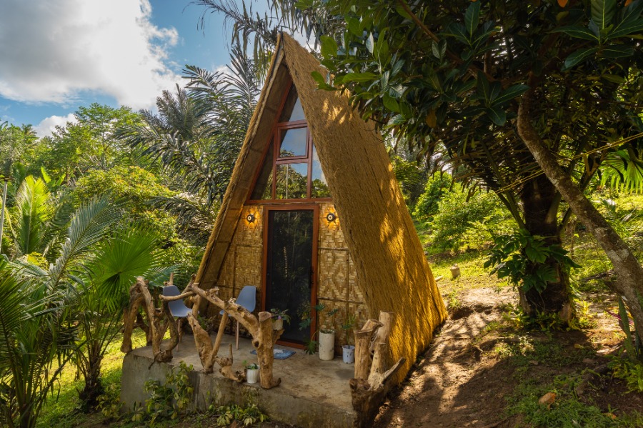 Rustic A-frame tropical vacation cabin with thatched roof, glass front entrance, and wooden porch surrounded by lush palm trees and jungle greenery