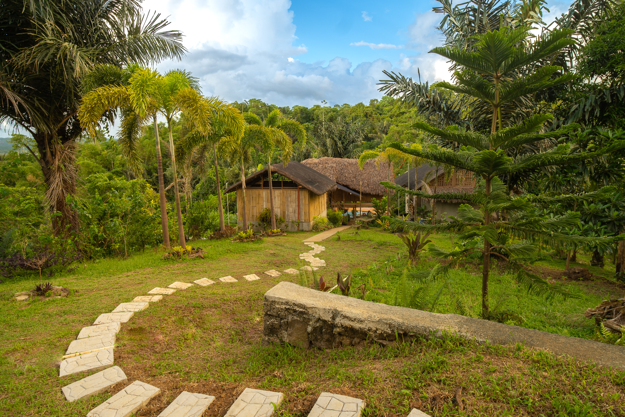 Tropical vacation rental with rustic bamboo bungalows, thatched roofs, lush palm trees, and a curved stone path in a green jungle setting